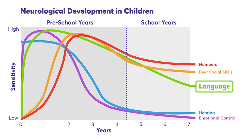 The Importance of Early Learning