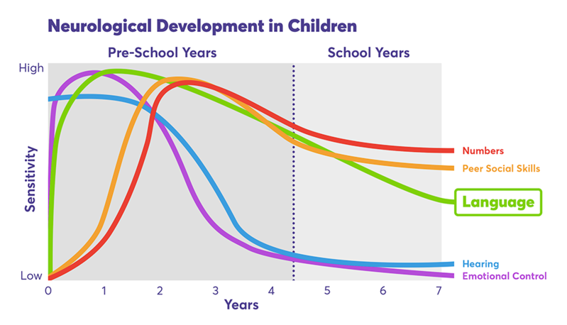The Importance of Early Learning